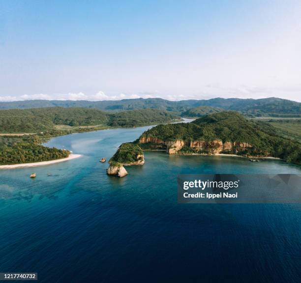 aerial view of mangrove river mouth and jungle, iriomote island, okinawa, japan - île d'iriomote photos et images de collection