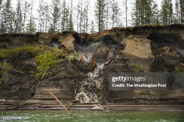 Permafrost, seen at the top of the cliff, melts into the Kolyma River outside of Zyryanka, Russia on July 4, 2019. The river is one of the principal...