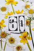 A nature inspired sixtieth birthday card image