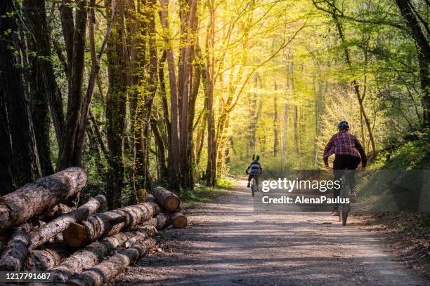 father and son mtb mountain biking in the forest rear view - slovenia spring stock pictures, royalty-free photos & images