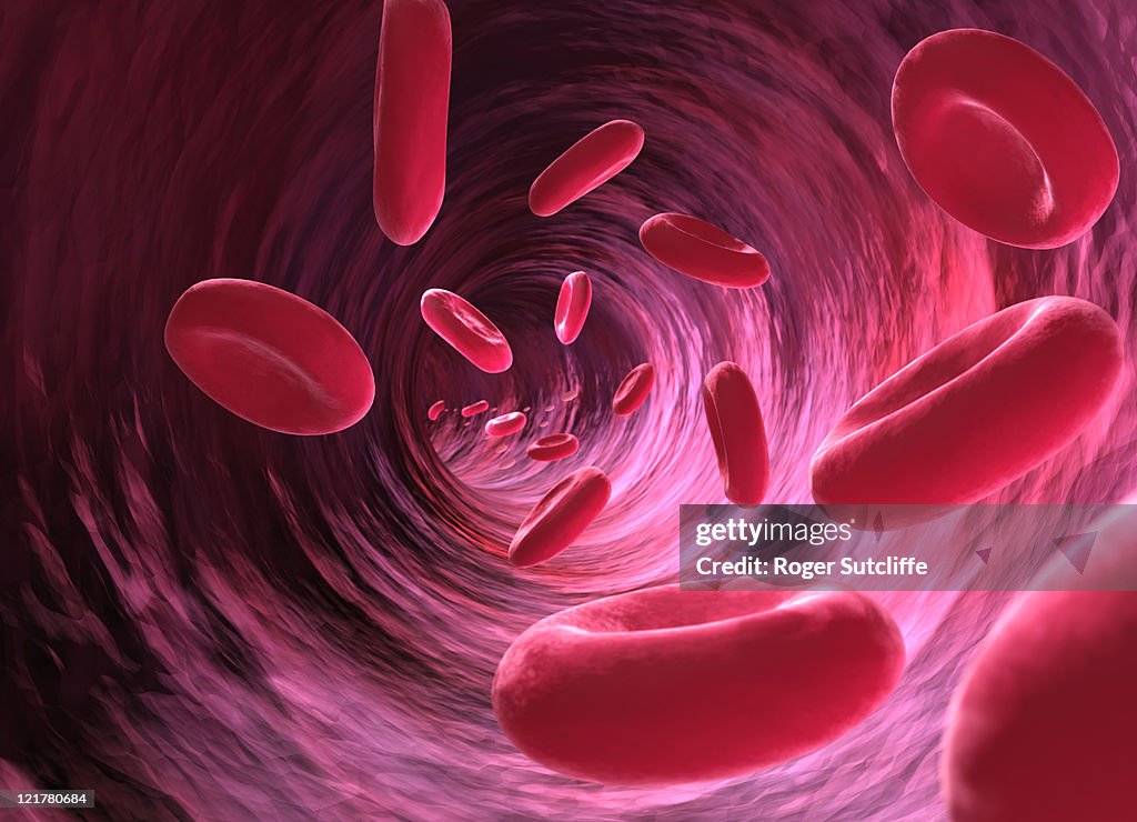 Red blood cell, computer generation