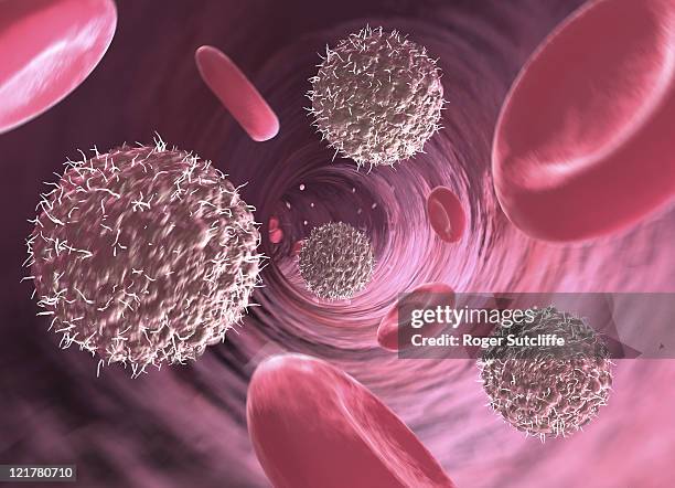 lymphocytes and red blood cells in blood vessel, computer generation - sistema immunitario foto e immagini stock