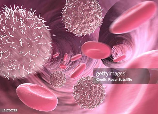 lymphocytes and red blood cells in blood vessel, computer generation - leukozyten stock-fotos und bilder