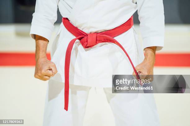 mid section of a karateka in gym - gürtel stock-fotos und bilder