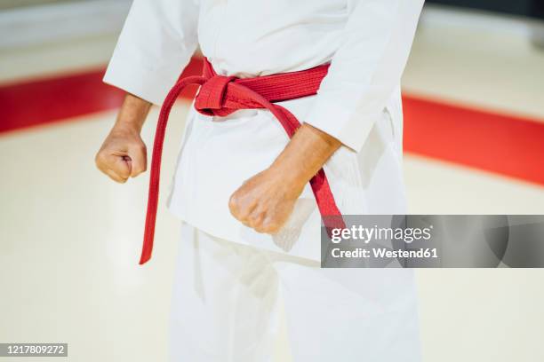 mid section of a karateka in gym - arte marziale foto e immagini stock