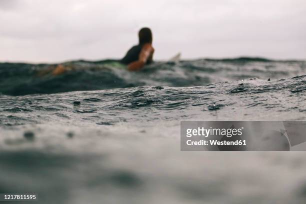 male surfer during rain time, sumbawa, indonesia - using a paddle stock pictures, royalty-free photos & images