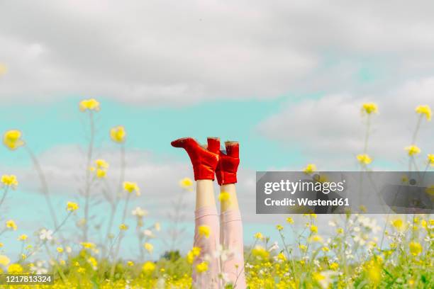 legs of a woman wearing red ankle boots lying in a flower meadow in spring - red shoe stockfoto's en -beelden