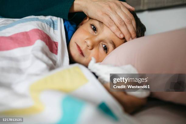 portrait of sick boy lying in bed while his mother touching his forehead - grippevirus stock-fotos und bilder