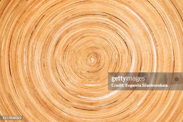 natural bamboo plate texture with sun light. - bamboo plant stockfoto's en -beelden