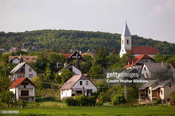 hungary, lake balaton region, paloznak - hungary countryside stock pictures, royalty-free photos & images