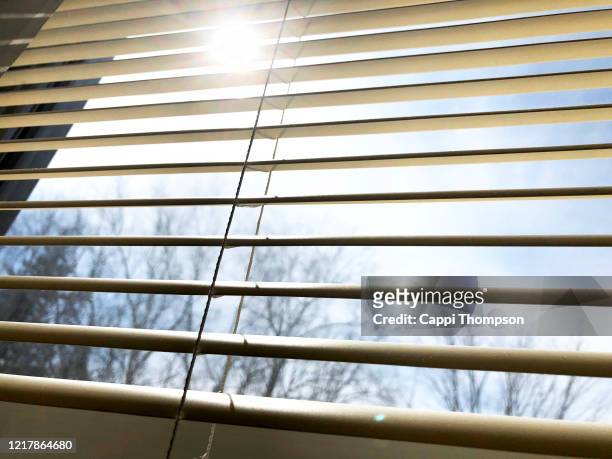 looking through shades during spring in maine, usa with barren trees and sun - facade blinds stock pictures, royalty-free photos & images