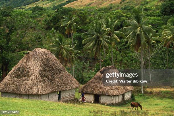 traditional bure, farmhouse, nawau, viti levu - fiji hut stock pictures, royalty-free photos & images