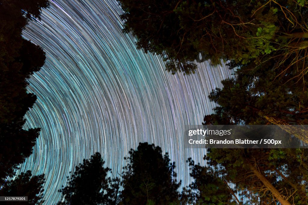 Star trails in sky above forest