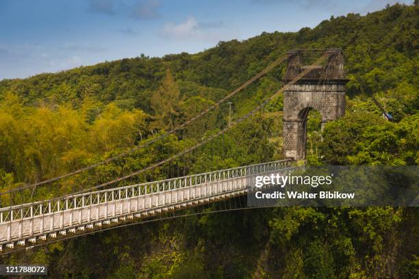 Reunion Bridge 46 Ste Anne Stock Photos, High-Res Pictures, and Images - Getty Images