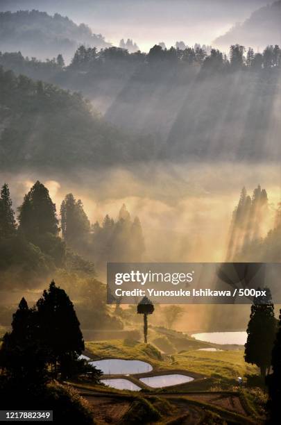 mountain landscape with ponds - niigata prefecture stock pictures, royalty-free photos & images