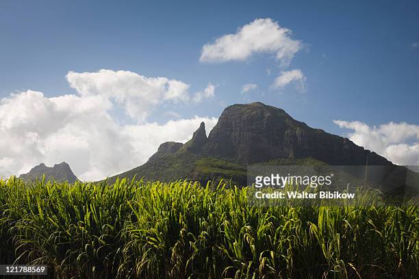 mauritius, western mauritius, beau songes, montagne du rempart and sugar cane field - cana de acucar imagens e fotografias de stock