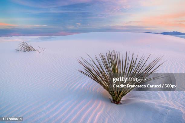 desert landscape at sunset, white sands national park, new mexico, usa - white sands national monument stock pictures, royalty-free photos & images