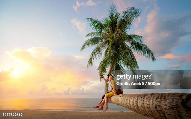 side view of couple sitting on a coconut palm tree and taking selfie with camera, koh mak, bueng sam phan, thailand - couple sand sunset stock pictures, royalty-free photos & images