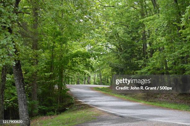 treelined country road - chattanooga tennessee stock pictures, royalty-free photos & images