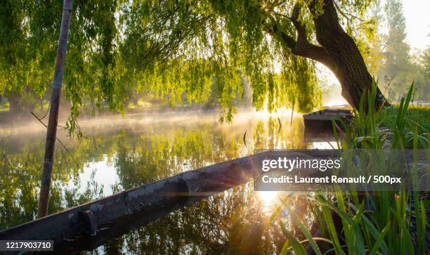sunlight reflecting in water, bourges, france - bourges stock pictures, royalty-free photos & images