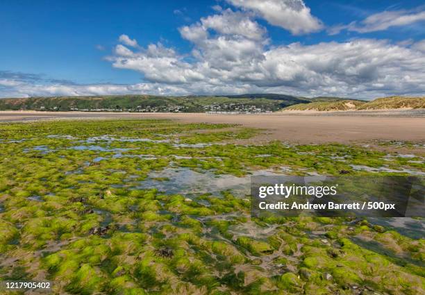 landscape of beach and sand dunes, ceredigion, wales, uk - ceredigion stockfoto's en -beelden