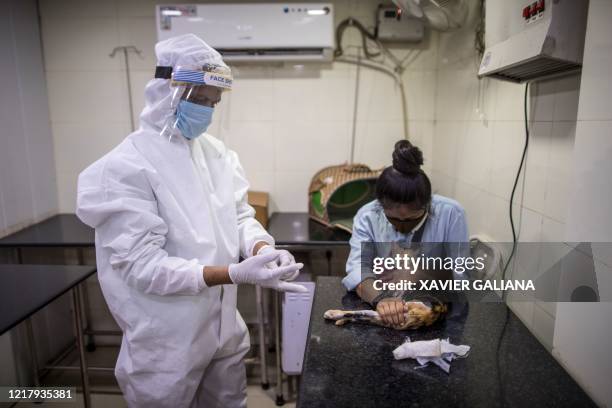 12 Friendicoes Seca Photos and Premium High Res Pictures - Getty Images 12 Friendicoes Seca Photos and Premium High Res Pictures - Getty Images