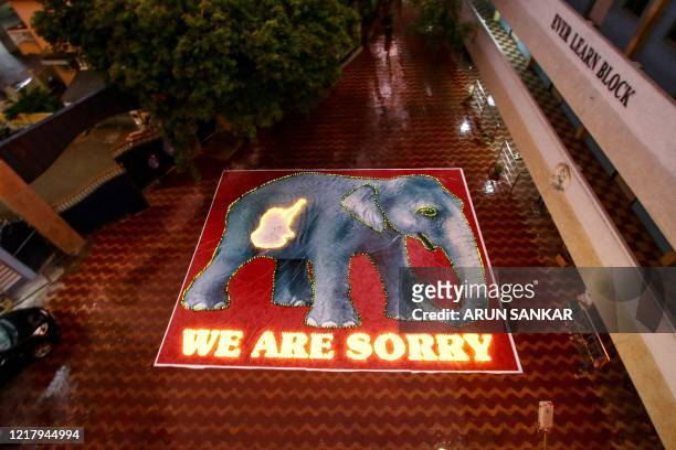 Painted poster of an elephant and its calf in the belly is seen lit up with candles by school staff to pay homage after the recent killing of a...
