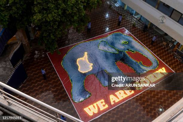 Painted poster of an elephant and its calf in the belly is seen lit up with candles by school staff to pay homage after the recent killing of a...