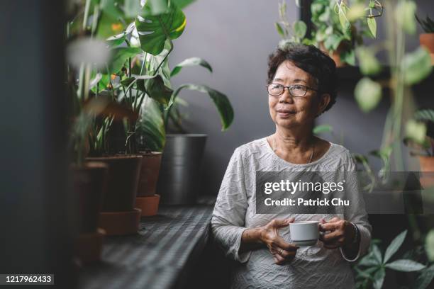 femme chinoise asiatique aînée paisible ayant le café à la maison chillling - chinese lady photos et images de collection