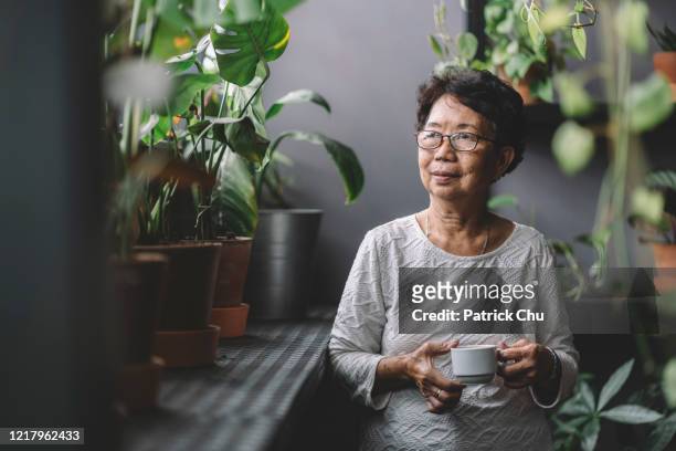 peaceful senior asian chinese woman having coffee at home chillling - asiático e indiano imagens e fotografias de stock