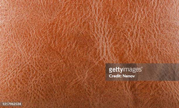close-up of brown leather texture - animal skin texture stock pictures, royalty-free photos & images