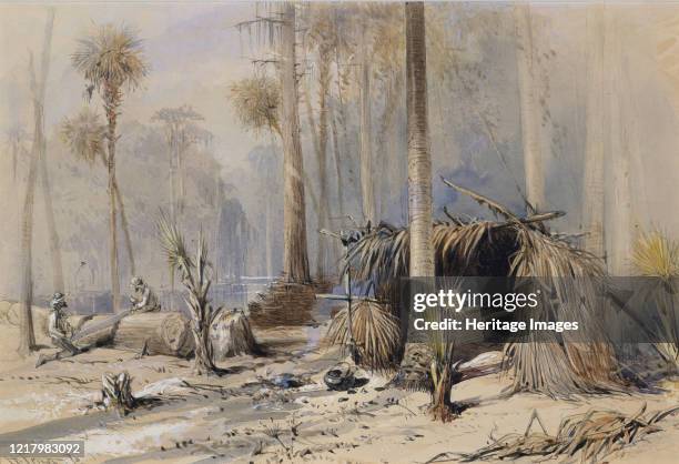 The Cypress-Shingle Yard, Ocklawaha River, Florida, 1870. Artist Harry Fenn.