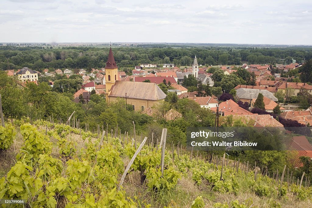 HUNGARY-Northern Uplands- Zemplen Hills-TOKAJ