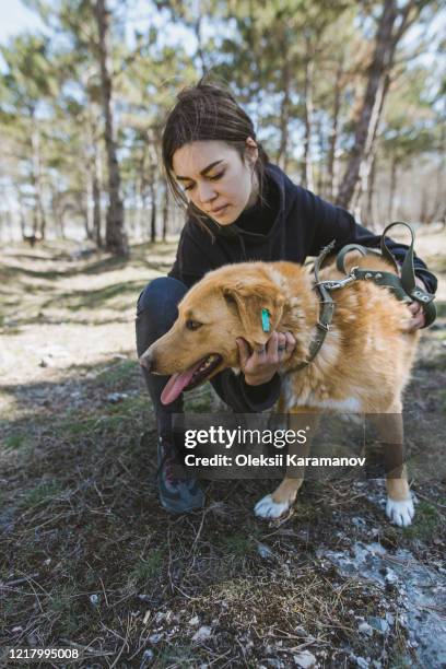 young woman petting dog from animal shelter while walking in forest - simferopol stock pictures, royalty-free photos & images