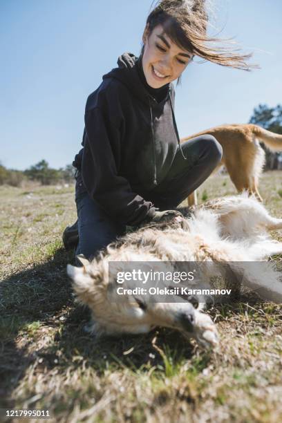 young woman playing on grass with dog from animal shelter - simferopol stock pictures, royalty-free photos & images