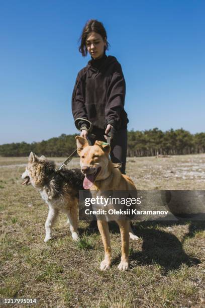 young woman walking with dogs from animal shelter - simferopol stock pictures, royalty-free photos & images