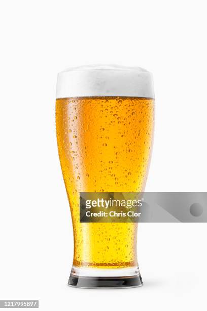 glass of beer on white background - beer glasses stock pictures, royalty-free photos & images