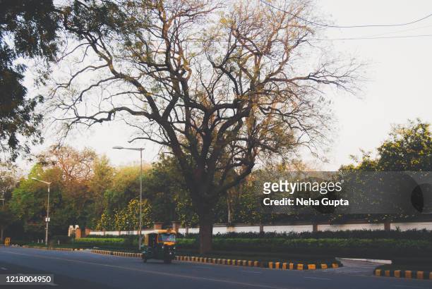 empty streets during the lockdown - new delhi, india - lockdown stock pictures, royalty-free photos & images