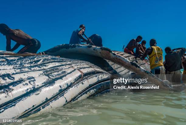 Vezo fishermen, semi-nomadic people of southern Madagascar are cutting a humpback whale on August 15, 2006 in Salary Bay, Madagascar, Mozambique...