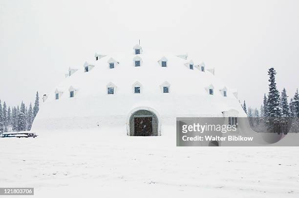 alaska, interior, broad pass - igloo stock pictures, royalty-free photos & images