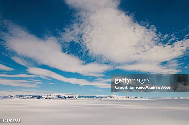 james clark ross island, weddell sea, antarctica - weddell sea - fotografias e filmes do acervo