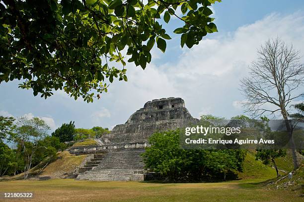 xunantunich, mayan ruins, belize - belize culture stock pictures, royalty-free photos & images