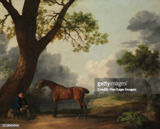 The Third Duke of Dorset's Hunter with a Groom and a Dog, 1768. Artist George Stubbs.