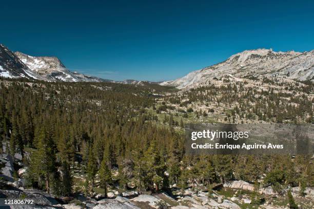 503 Vogelsang Stock Photos High Res Pictures And Images Getty Images 503-vogelsang-stock-photos-high-res-pictures-and-images-getty-images