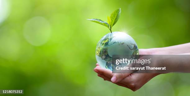 concept save the world save environment the world is in the grass of the green bokeh background - earth day stock-fotos und bilder