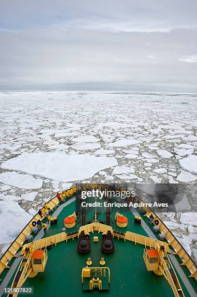 icebreaker (kapitan khlebnikov) cruising through pack ice, antarctic sound, antarctica - ice breaker stock pictures, royalty-free photos & images