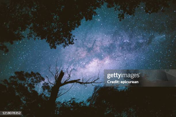 milky way in the blue mountains of australia - blue mountain range stock pictures, royalty-free photos & images