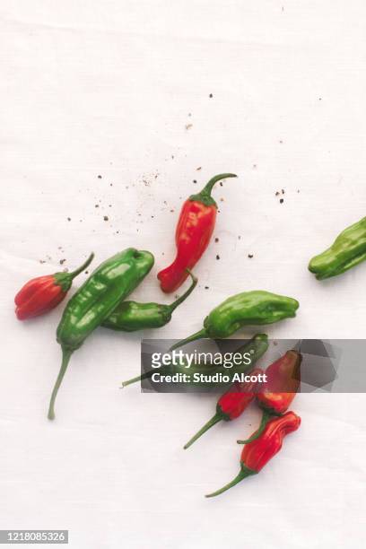 chili peppers - chili pepper on white stock pictures, royalty-free photos & images