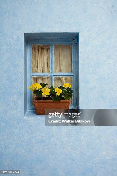 window detail, via de mario alleyway, worth avenue, palm beach - flower boxes stock pictures, royalty-free photos & images