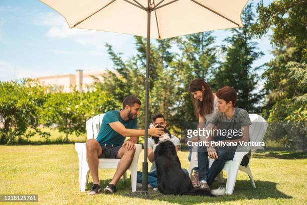 vrienden die met hond in openlucht spelen - parasol stockfoto's en -beelden